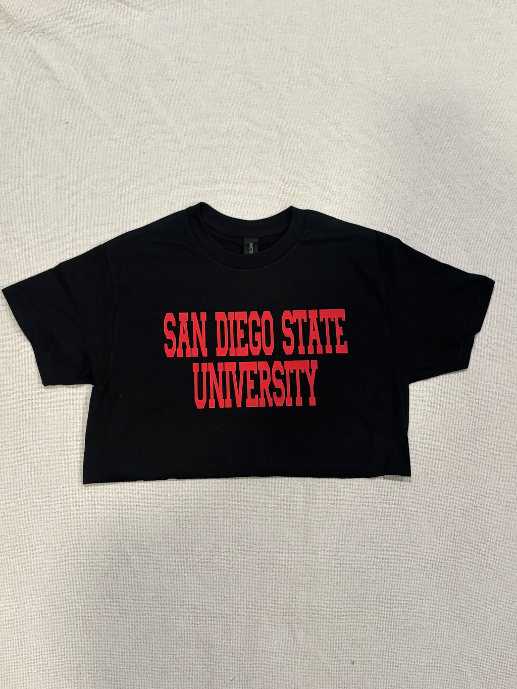 Custom Basic School Name Cropped Tee