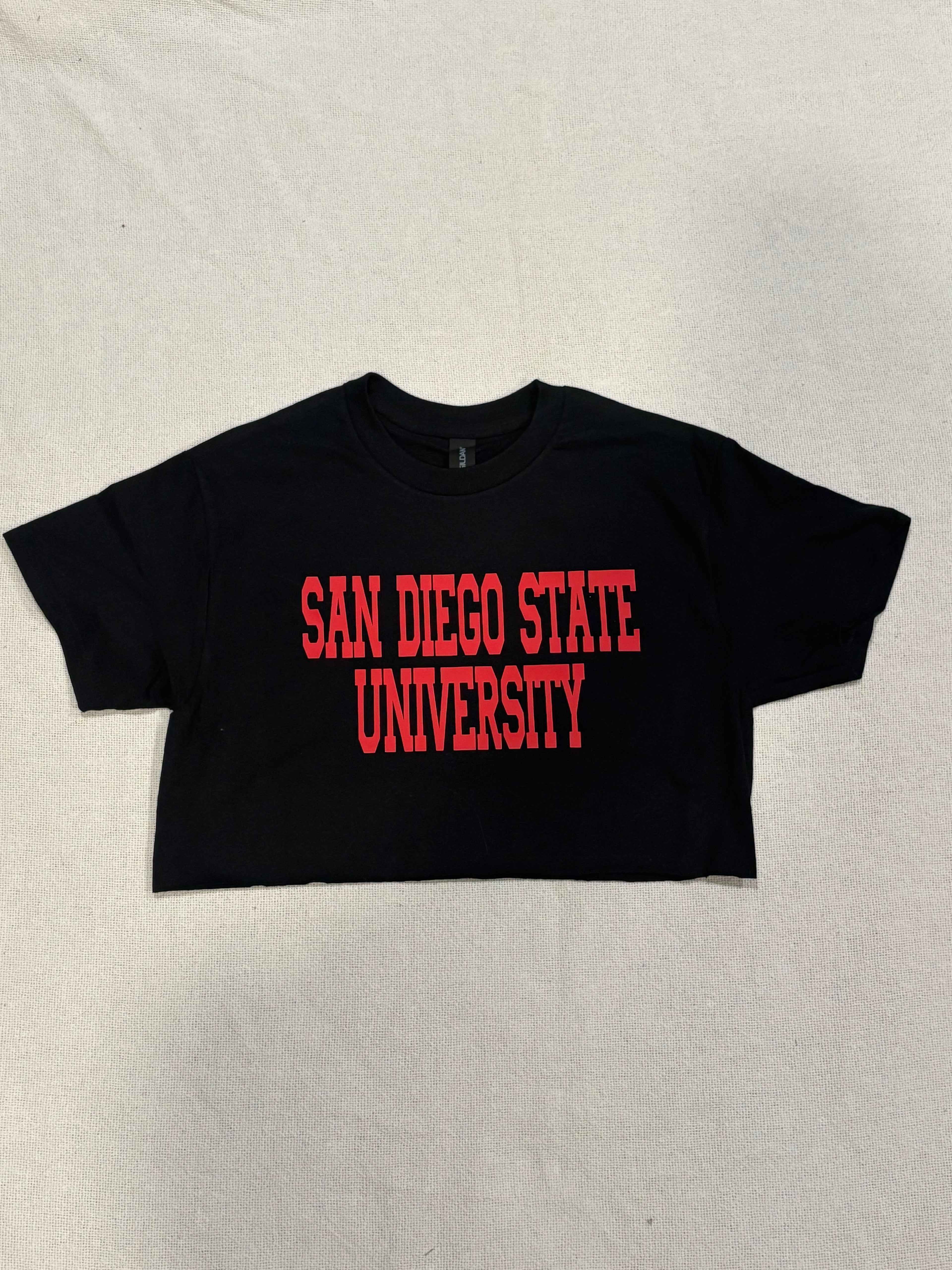 Custom Basic School Name Cropped Tee