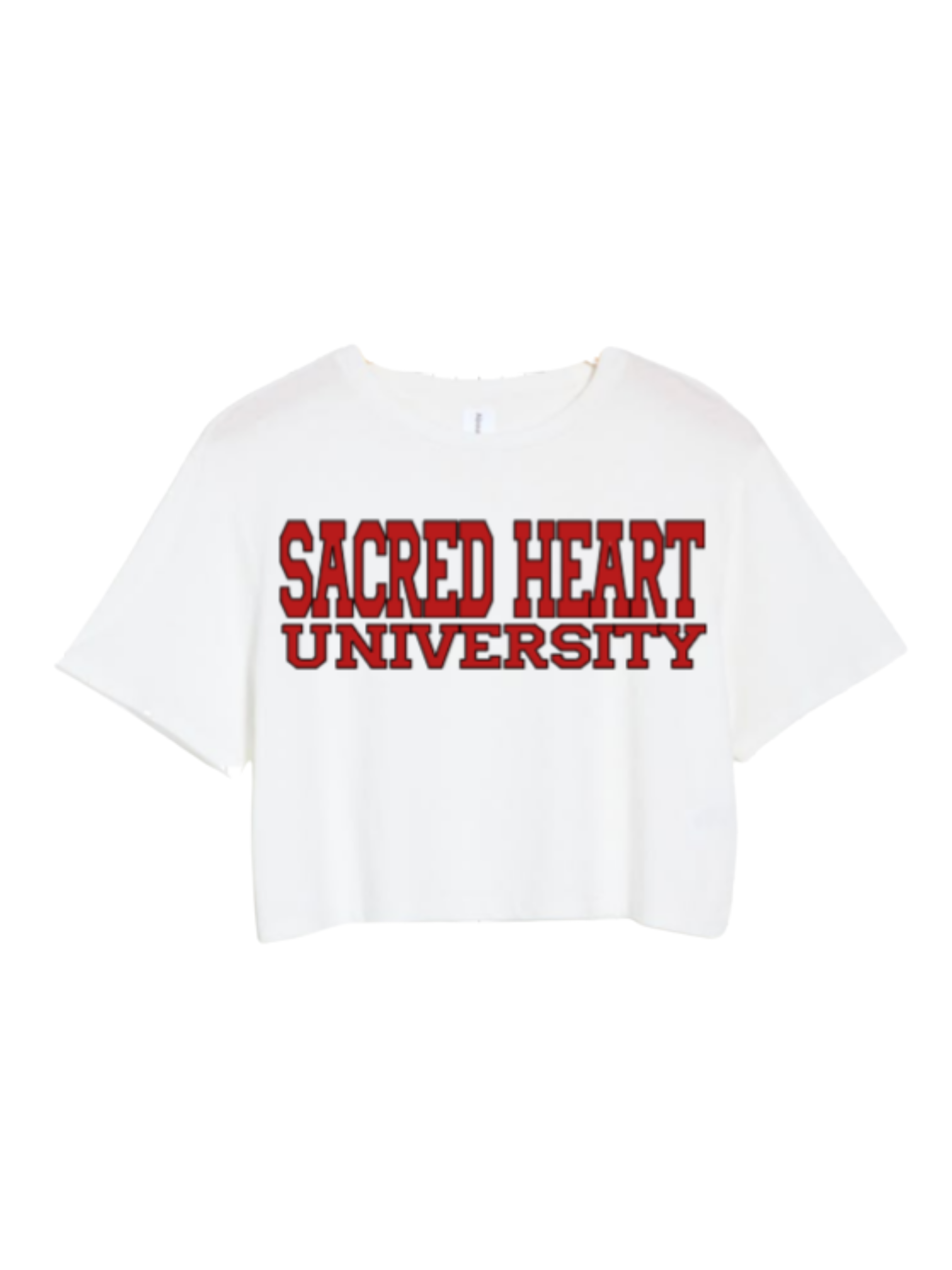 Custom Basic School Name Cropped Tee