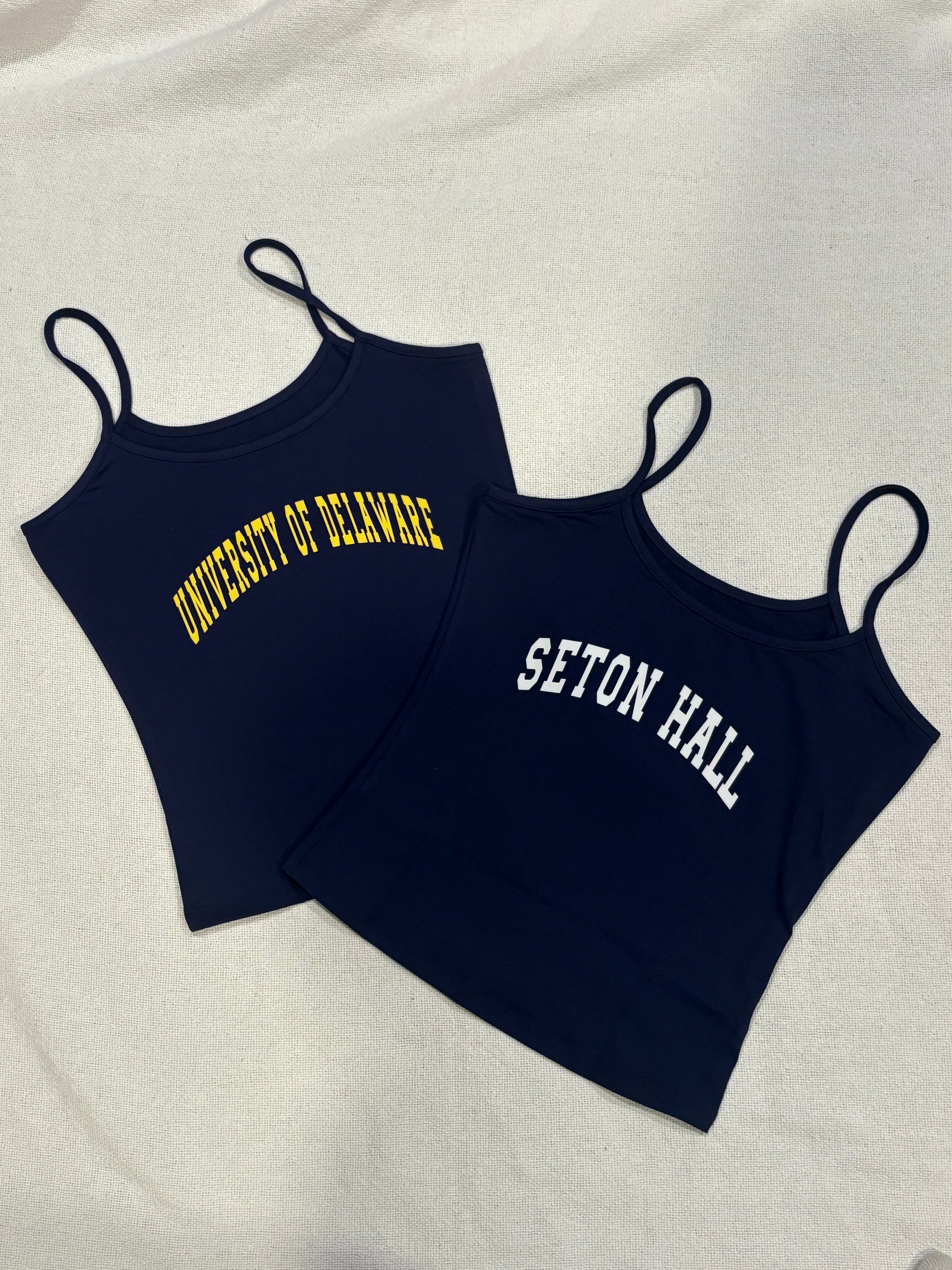 Custom School Tank