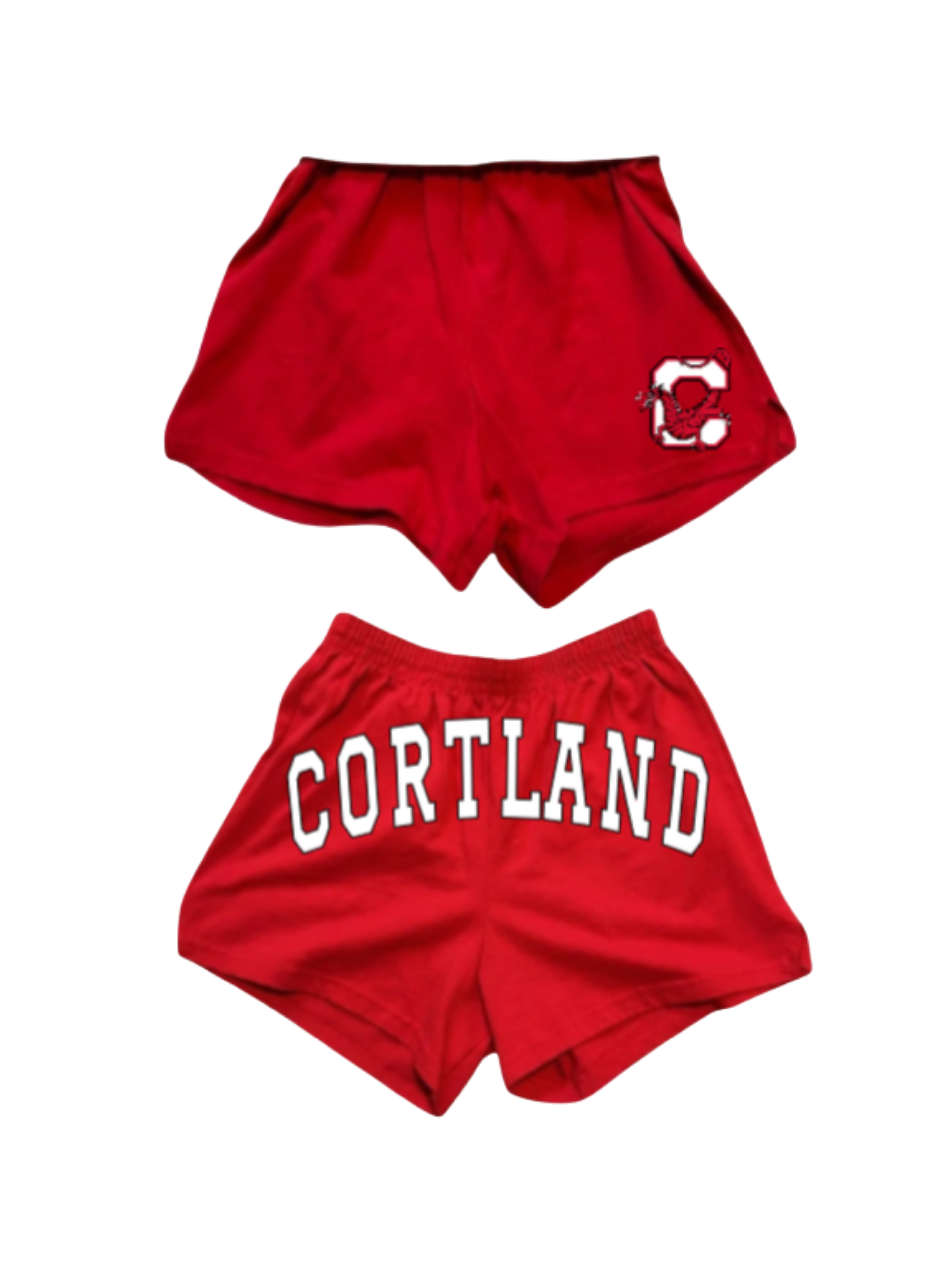 Custom School Name And Logo Shorts